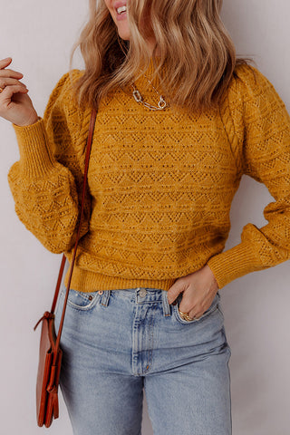 Hollow Knit Sweater with Balloon Sleeves