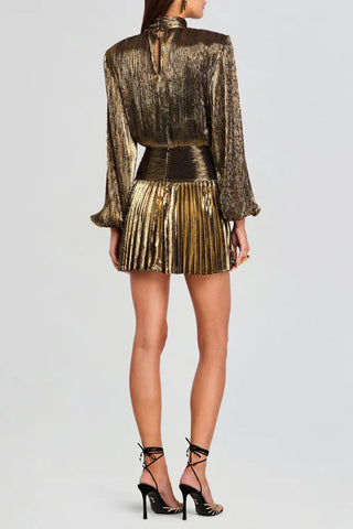 Elegant Evening Metallic Dress