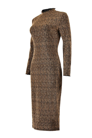 Striking High-Neck Dress