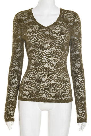 Lace V-Neck Long Sleeve Top