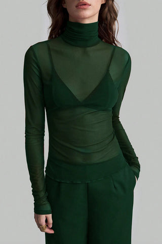 Sheer Turtleneck Long Sleeve Blouse