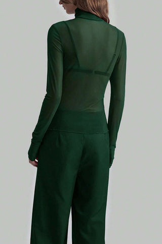Sheer Turtleneck Long Sleeve Blouse