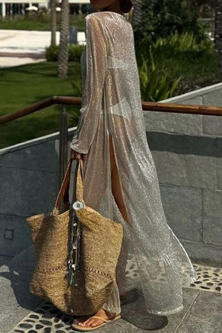Sheer Long Sleeve Dress