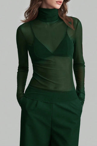 Sheer Turtleneck Long Sleeve Blouse