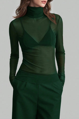 Sheer Turtleneck Long Sleeve Blouse