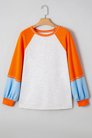 Colorblock Raglan Sleeve Top