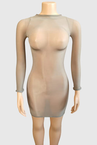 Sheer Long Sleeve Night Out Dress