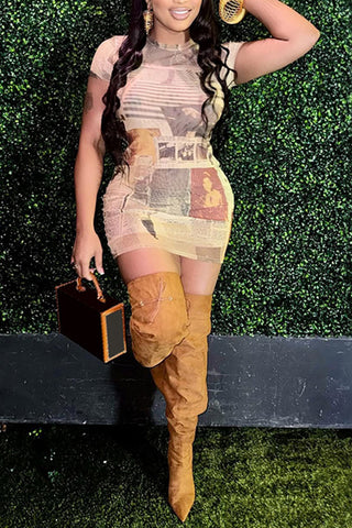 Printed Mesh Bodycon Dress