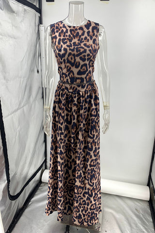 Leopard Print Skirt Set