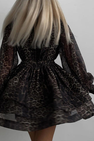 Animal Print Long Sleeve Casual Dress