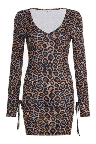 Leopard Print Casual Dress