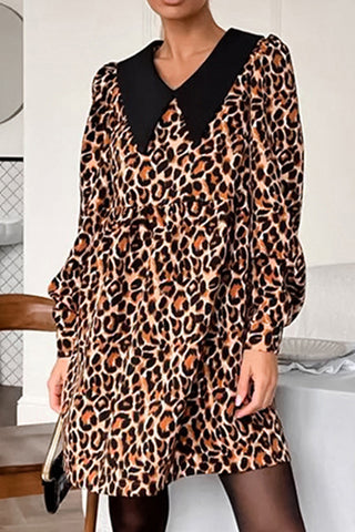 Leopard Print Casual Dress