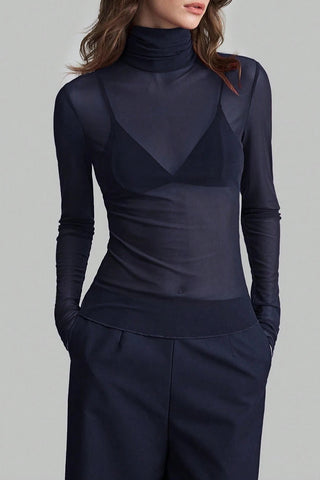 Sheer Turtleneck Long Sleeve Blouse