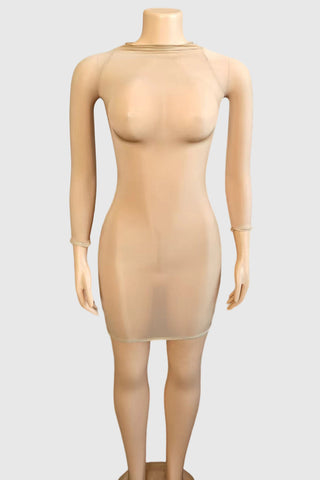 Sheer Long Sleeve Night Out Dress