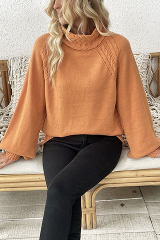 Turtleneck Cable Knit Sweater