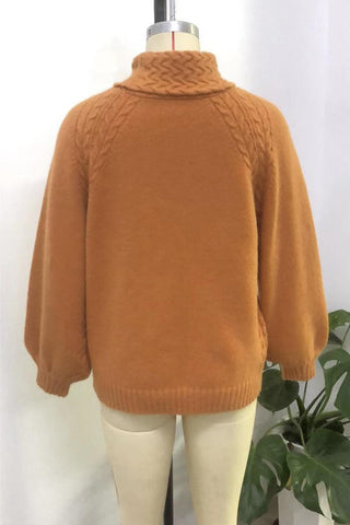 Turtleneck Cable Knit Sweater