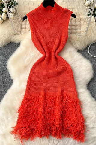 Fringe Hem Knitted Casual Dress