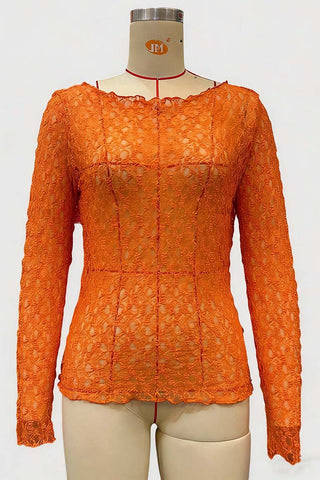 Elegant Lace Long-Sleeve Top