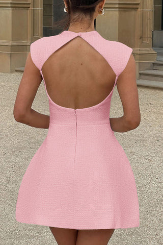 Sleeveless A-Line Mini Dress