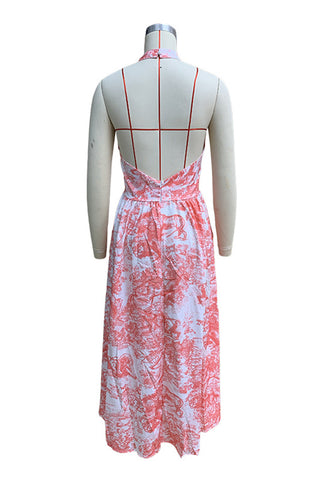 Halter Neck Printed Maxi Dress