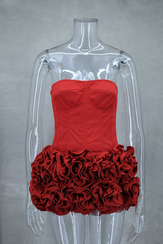 Strapless Bustier Top Set