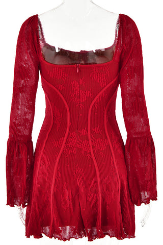 Sheer Lace Long Sleeve Dress
