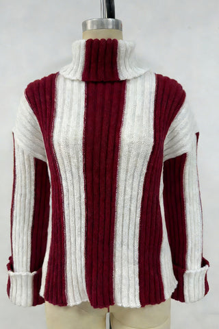 Turtleneck Striped Sweater