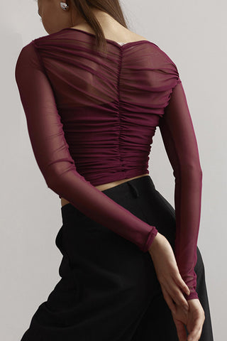 Ruched Mesh Long Sleeve Blouse