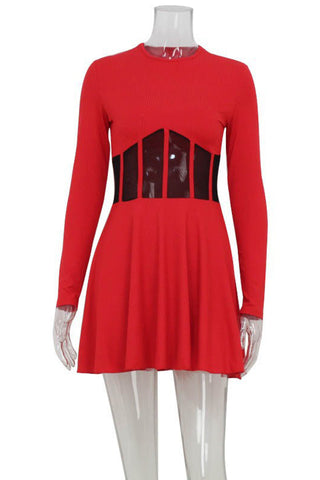 Mesh Panel Flared Night Out Dress
