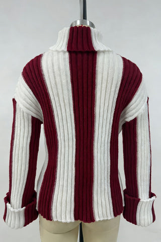 Turtleneck Striped Sweater