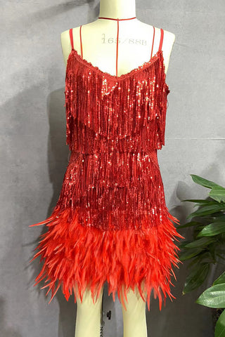 Fringe and Feathered Mini Dress
