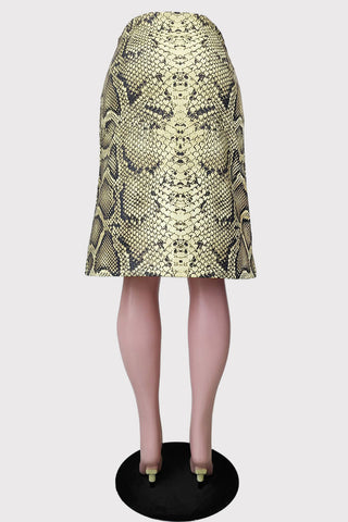 Python Print A-line Skirt