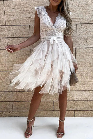 Lace V-Neck Flared Casual Dress