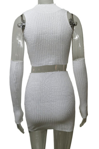 Ribbed Sleeveless Crop Top and Skirt Set