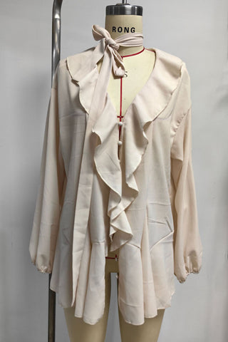 Ruffle Trim Sheer Blouse