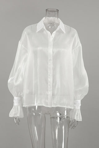 Elegant Sheer Button-Up Blouse