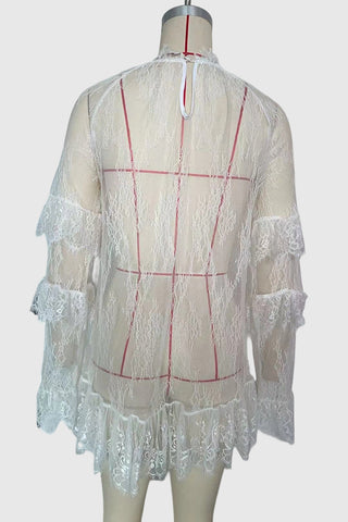 Elegant Lace Sheer Overlay Dress