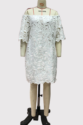 Off-Shoulder Lace Casual Dress