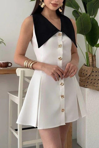 Contrast Collar Button-Up Dress