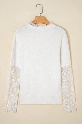 Lace Sleeve Sweater