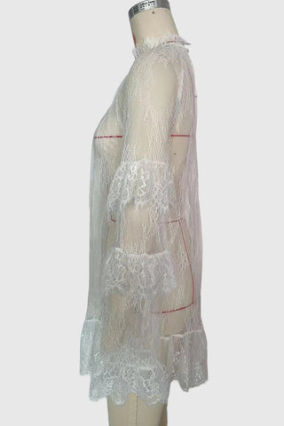 Elegant Lace Sheer Overlay Dress