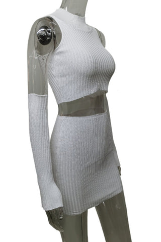 Ribbed Sleeveless Crop Top and Skirt Set