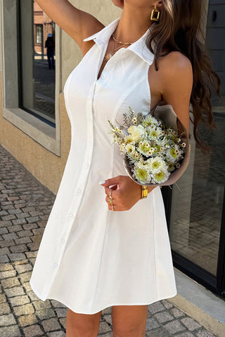 Shirt Collar A-Line Waist Dress