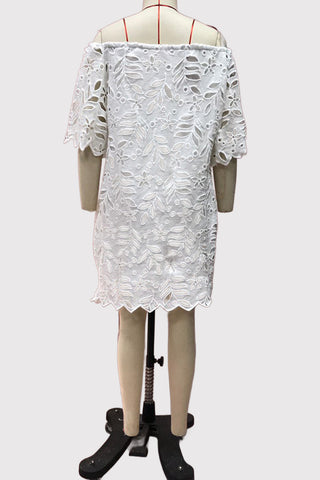 Off-Shoulder Lace Casual Dress