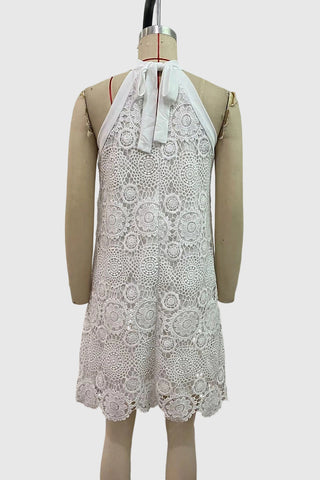 Lace Overlay Sleeveless Dress