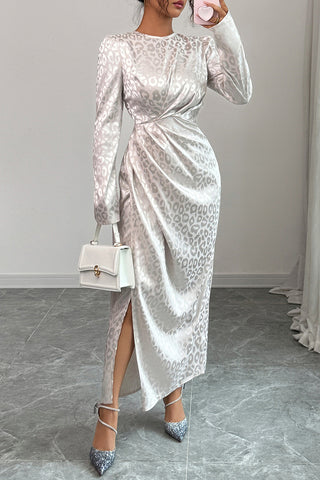 Elegant Long Sleeve Leopard Dress