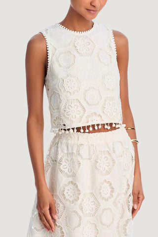 Lace Crop Top and Skirt Set