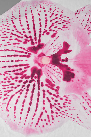 Asymmetrical Floral Print Camisole