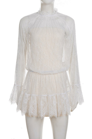 Elegant Long-Sleeve Lace Dress