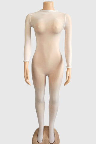 Sleek Long Sleeve Sheer Jumpsuit